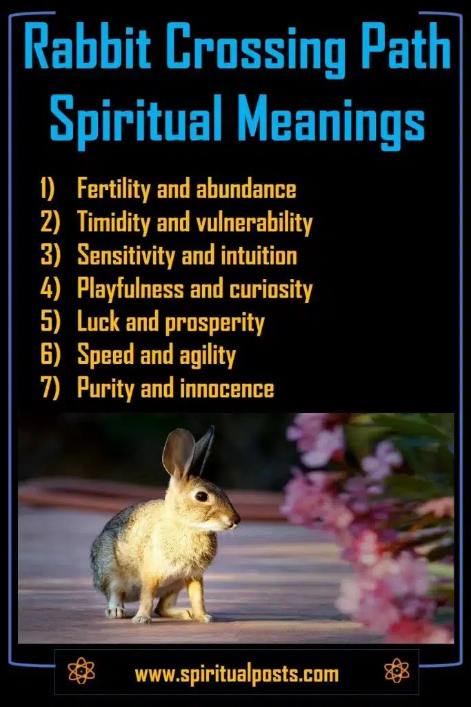 Rabbit Spiritual Meaning