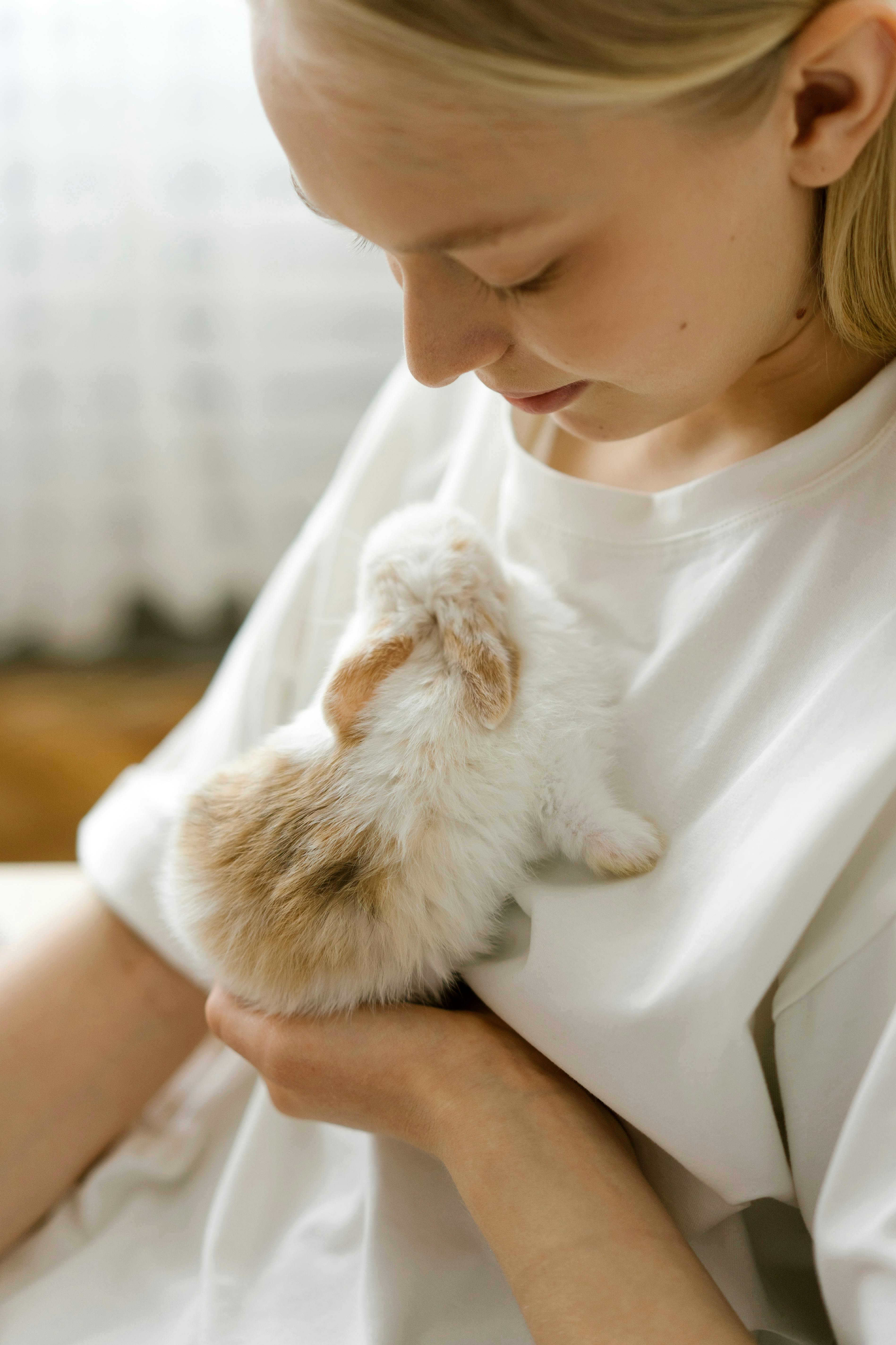 Caring for White Dwarf Rabbit