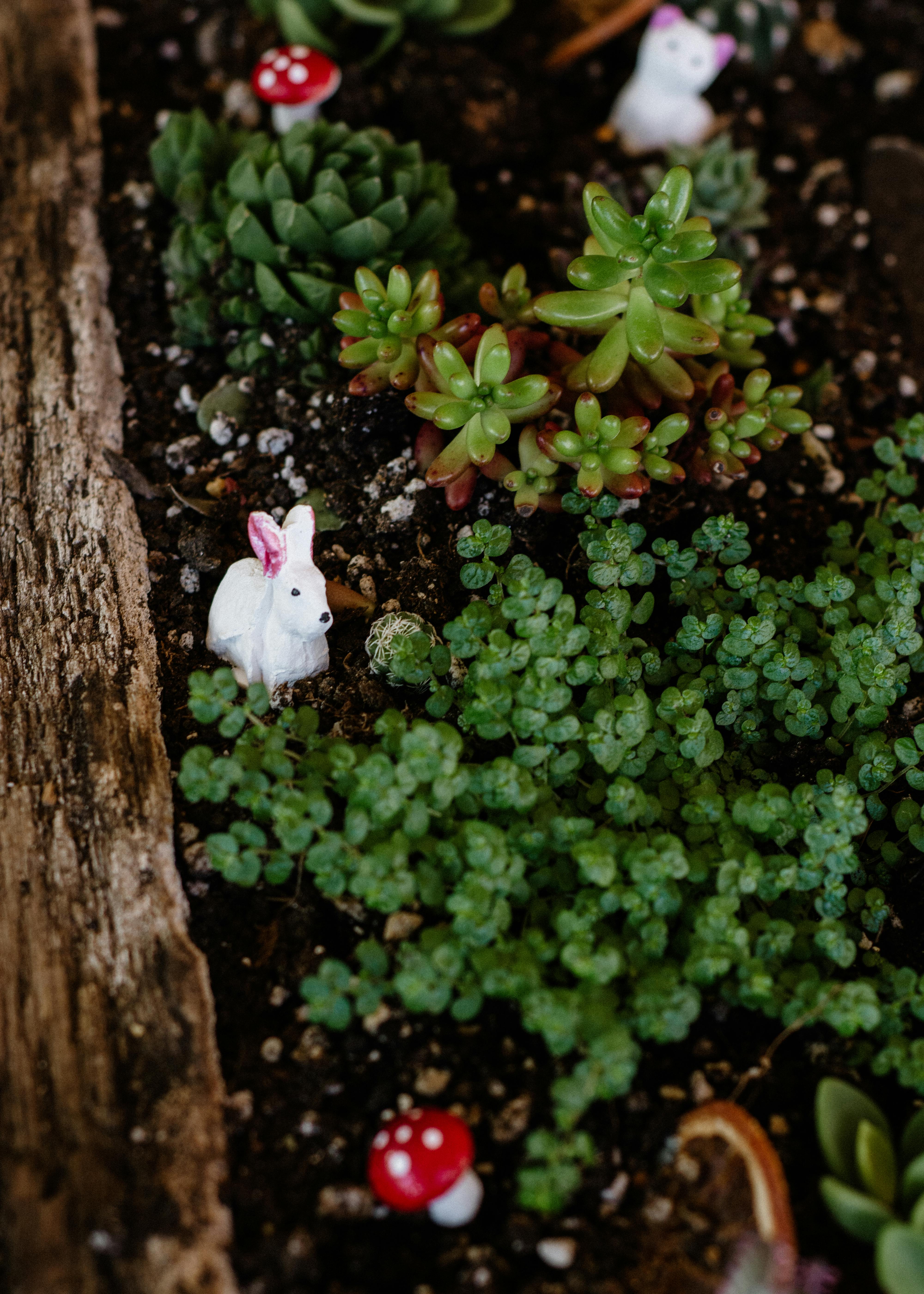 Adorable small bunnies